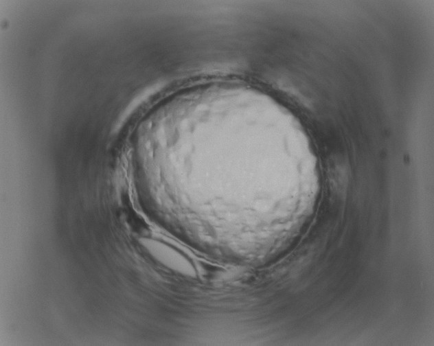 X0000077381256200611101720