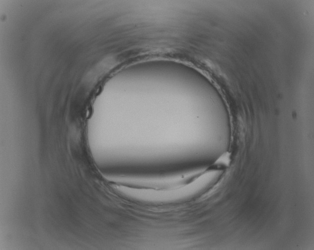 X0000077381257200611101720