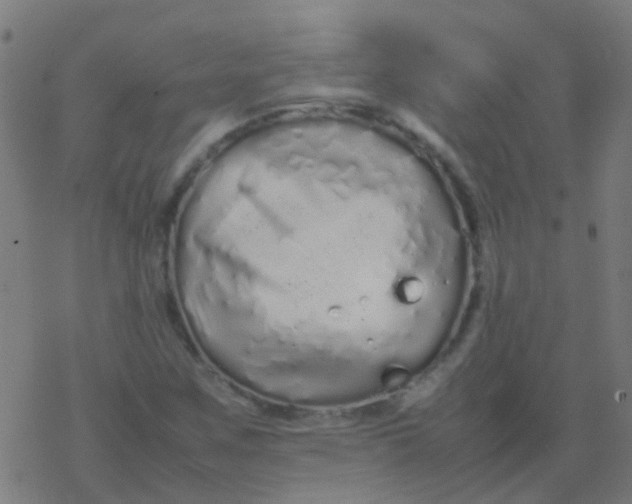 X0000077381259200611101720