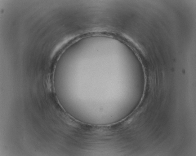 X0000077381262200611101720