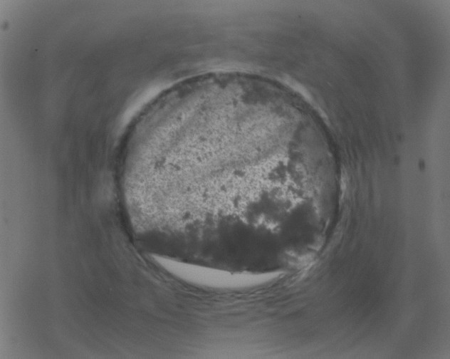 X0000077381263200611101720