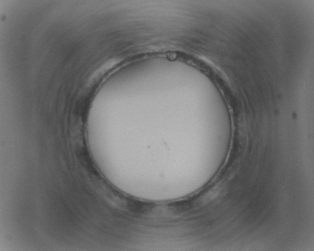 X0000077381265200611101720