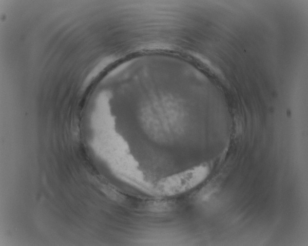 X0000077381266200611101720