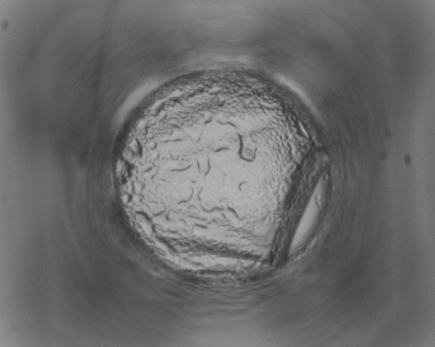 X0000077381267200611101720