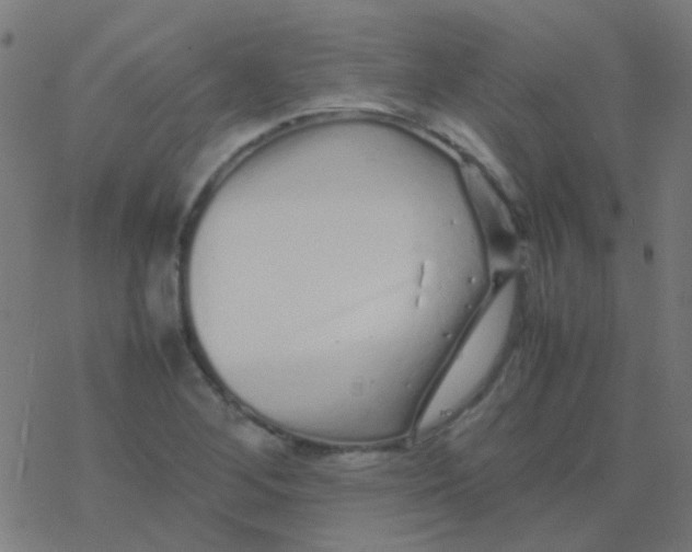 X0000077381268200611101720