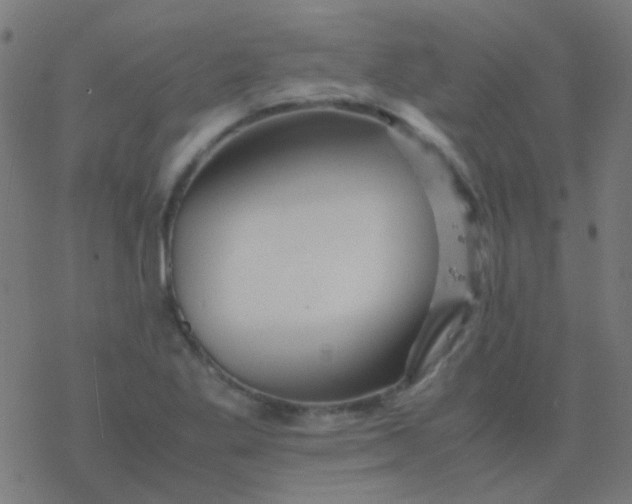 X0000077381269200611101720