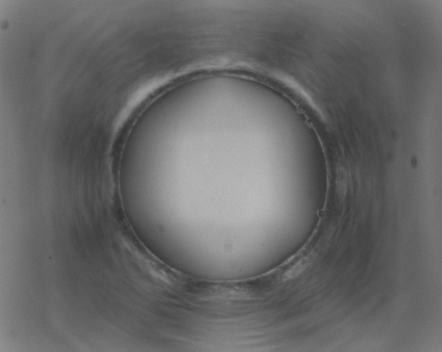 X0000077381270200611101720