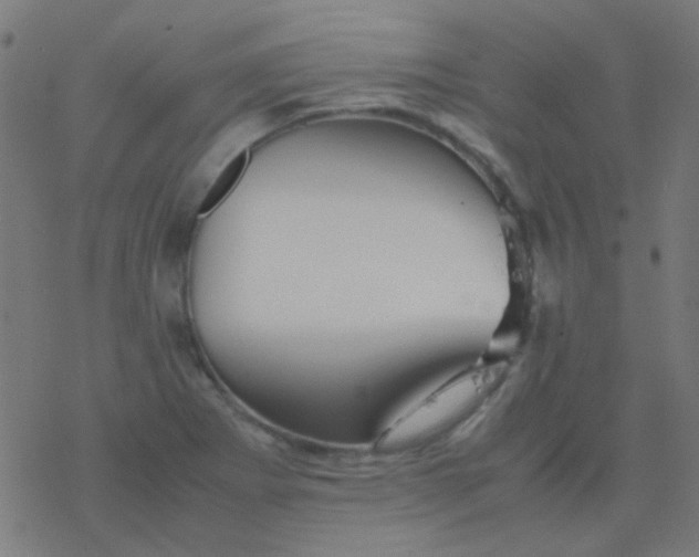 X0000077381273200611101720