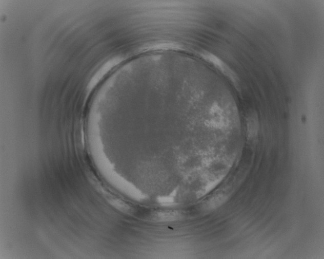 X0000077381274200611101720