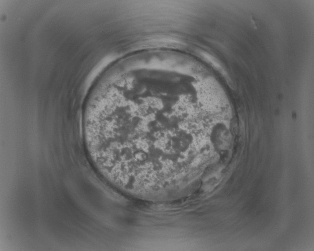 X0000077381275200611101720