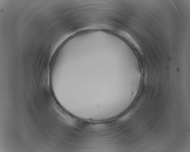 X0000077381276200611101720