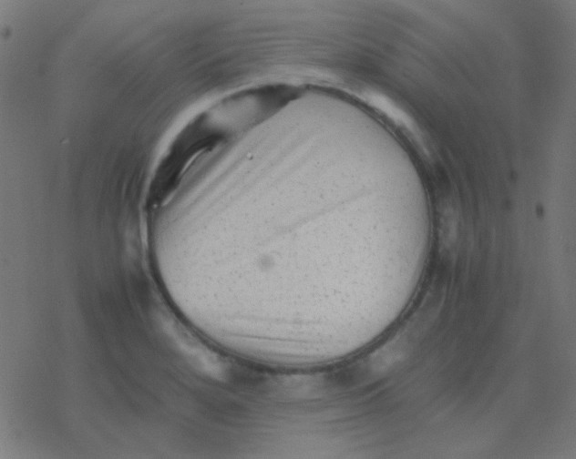 X0000077381280200611101720