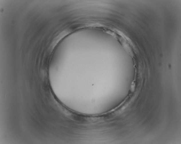 X0000077381281200611101720