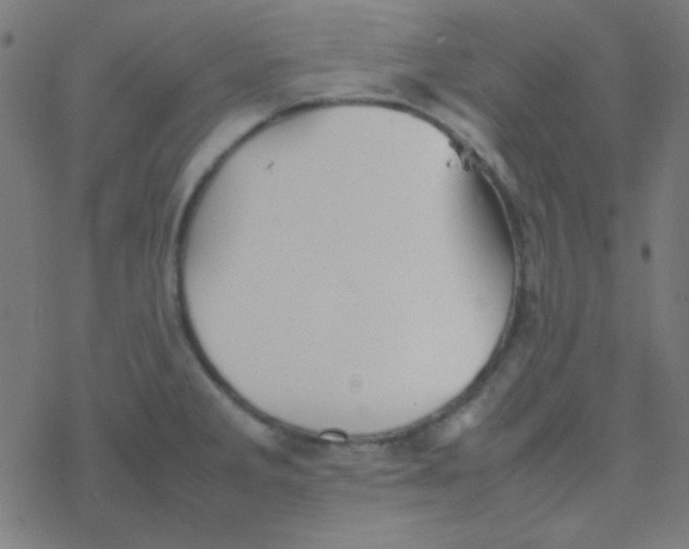 X0000077381285200611101720