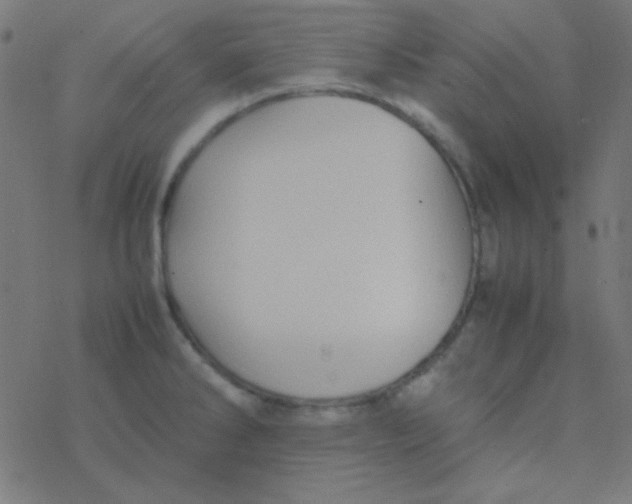 X0000077381286200611101720