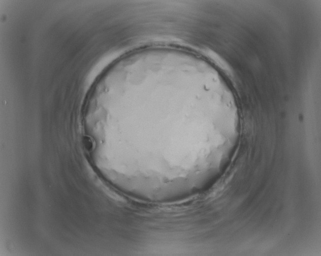 X0000077381287200611101720