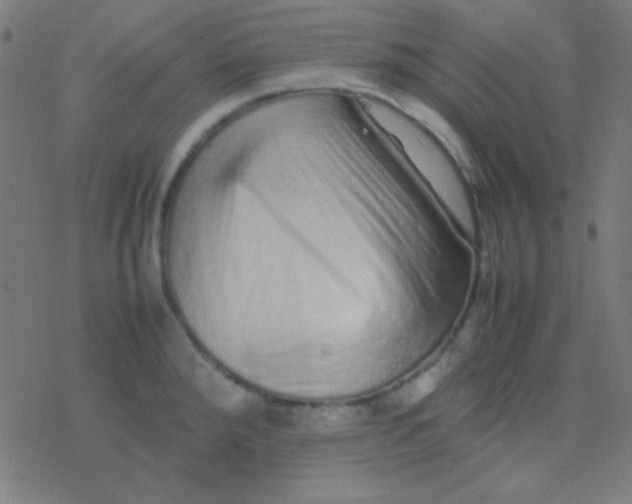 X0000077381288200611101720