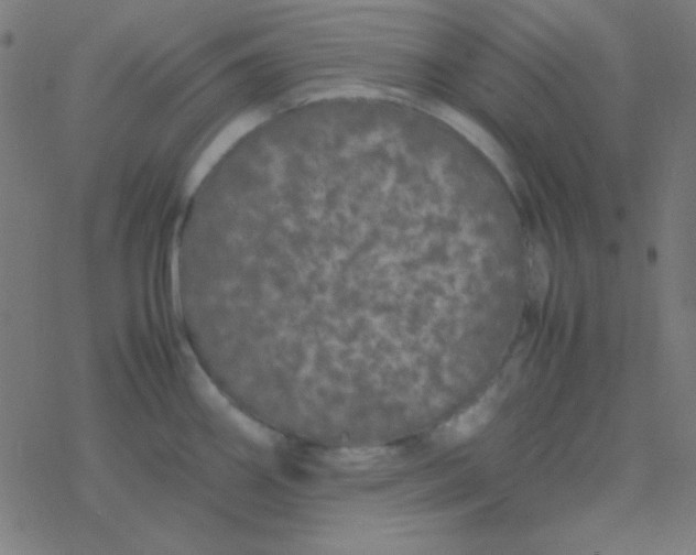 X0000077381290200611101720