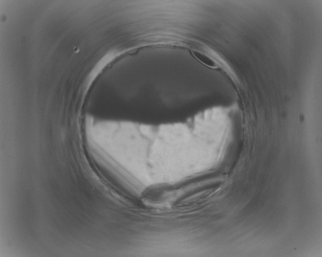 X0000077381291200611101720