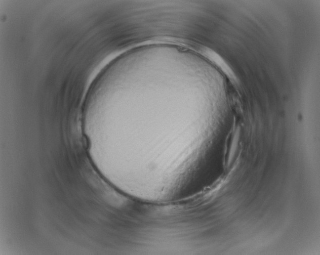 X0000077381292200611101720