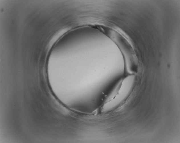 X0000077381293200611101720