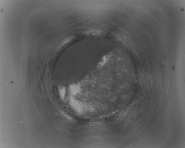 X0000077381297200611101719