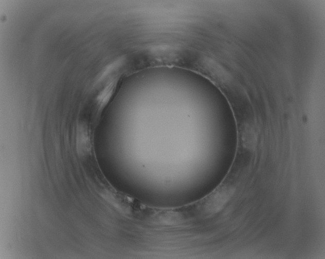 X0000077381298200611101719