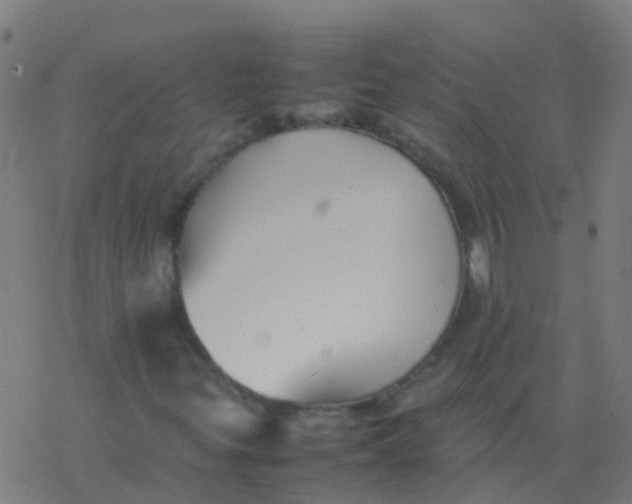 X0000077381299200611101719