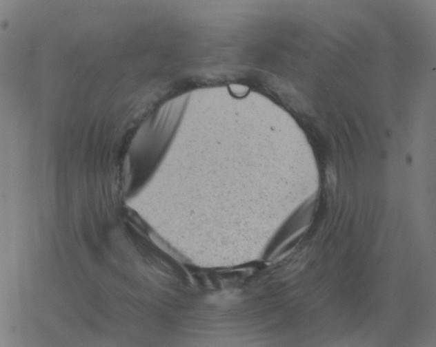 X0000077381300200611101719