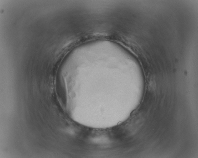 X0000077381301200611101719