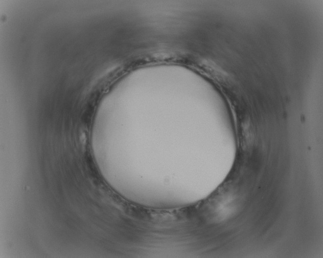 X0000077381302200611101719