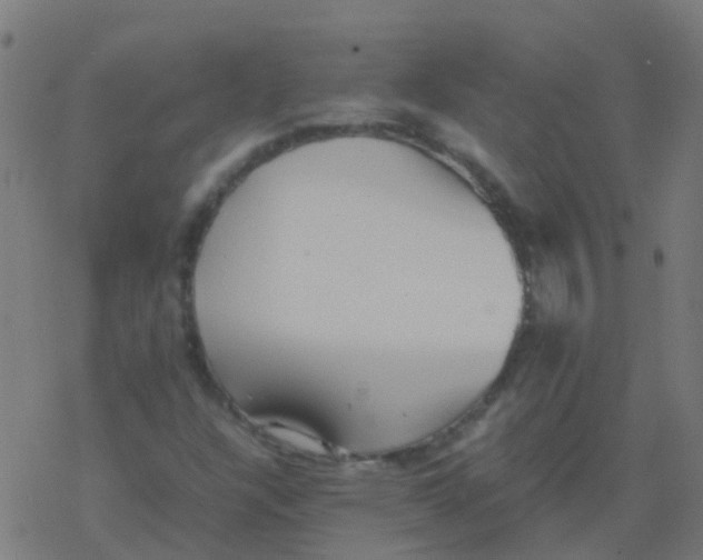 X0000077381304200611101719