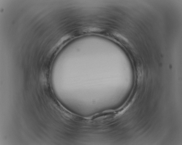 X0000077381305200611101719