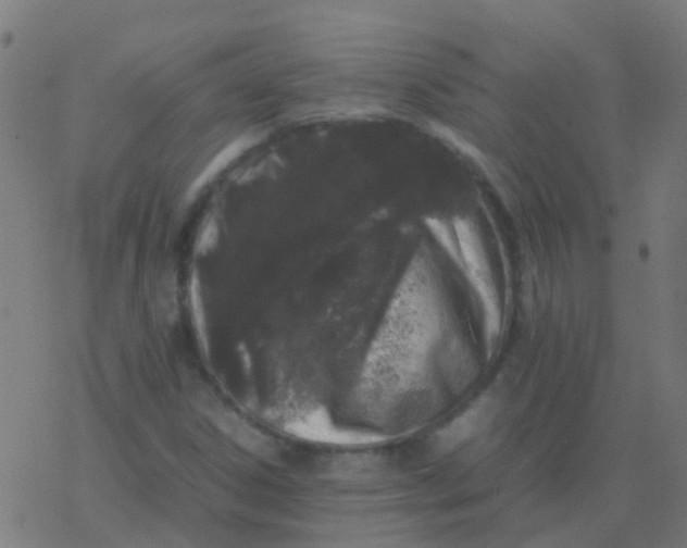 X0000077381306200611101719