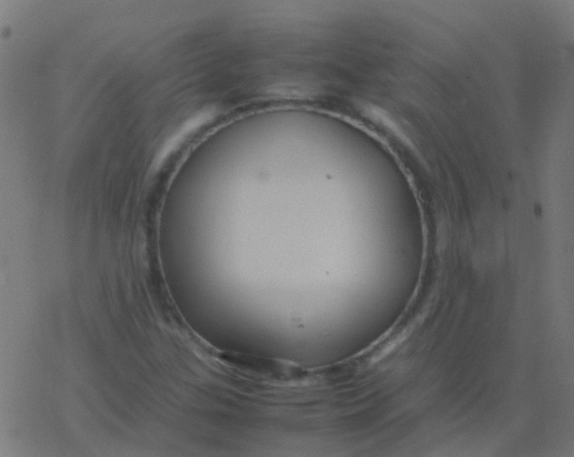 X0000077381307200611101719