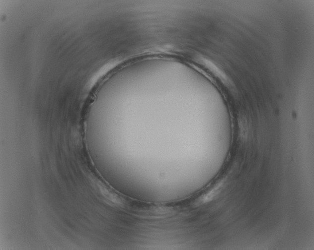 X0000077381308200611101719