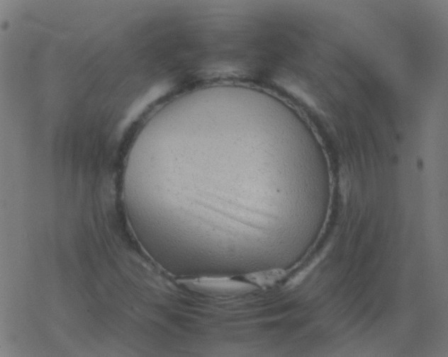 X0000077381309200611101719