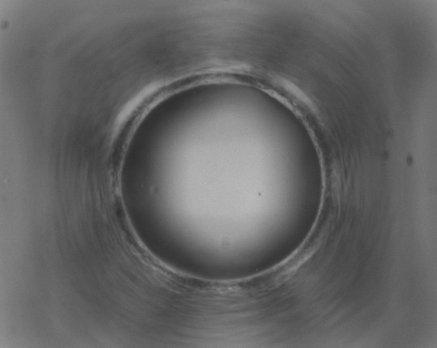 X0000077381310200611101719