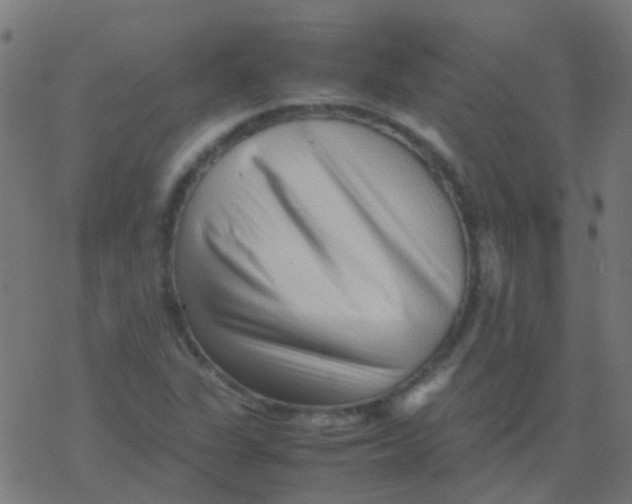 X0000077381311200611101719