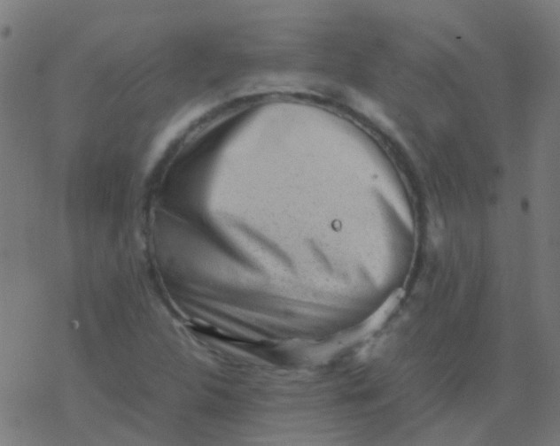 X0000077381312200611101719