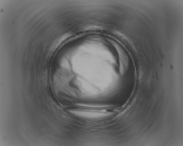 X0000077381313200611101719