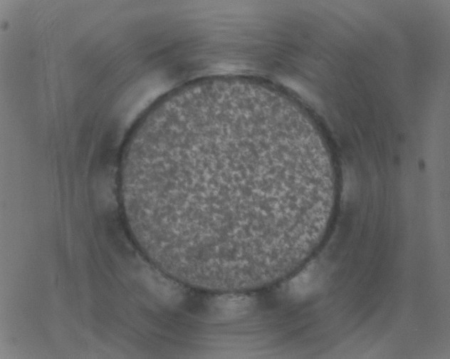 X0000077381314200611101719