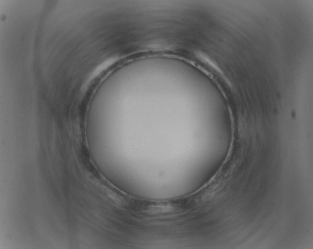 X0000077381315200611101719