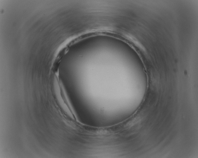 X0000077381316200611101719