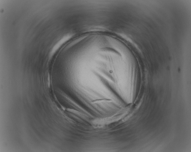 X0000077381317200611101719