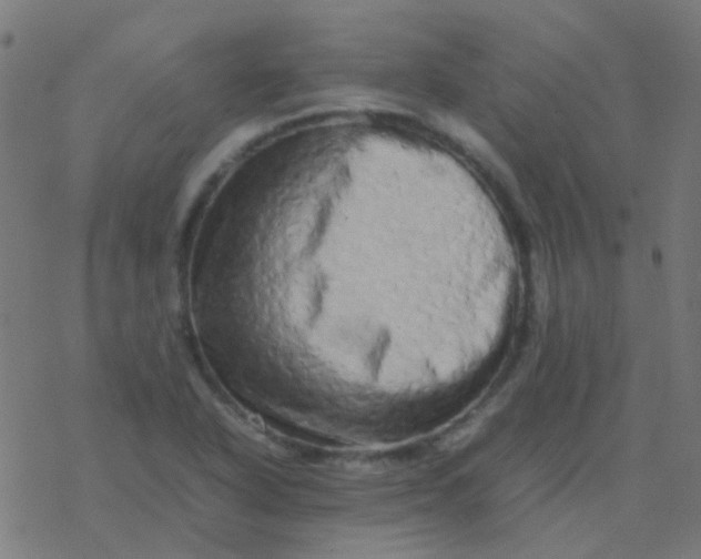 X0000077381318200611101719