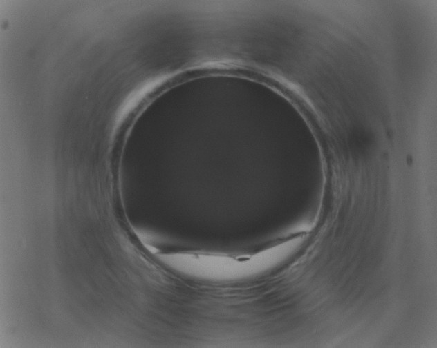 X0000077381319200611101719