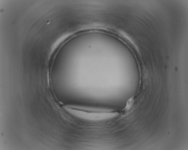 X0000077381320200611101719