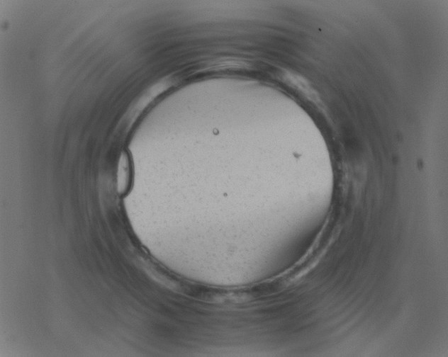 X0000077381321200611101719