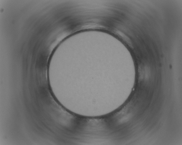 X0000077381322200611101719